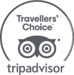 This image is a logo for Tripadvisor's "Travellers' Choice" award, featuring an owl graphic and stylized text.