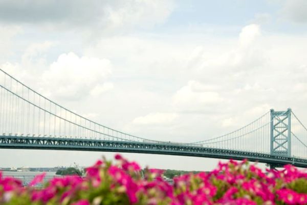 A suspension bridge stretches across the scene with pink flowers in the foreground under a partly cloudy sky.