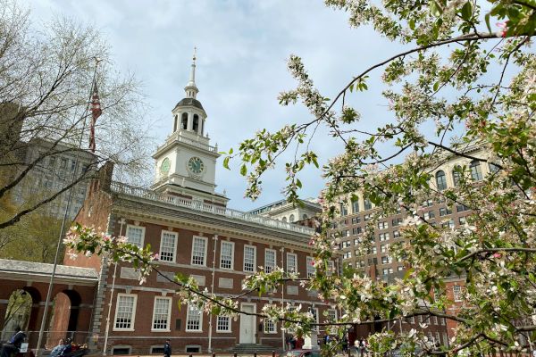 Historic building with a clock tower, surrounded by flowering branches and a U.S. flag, urban setting.